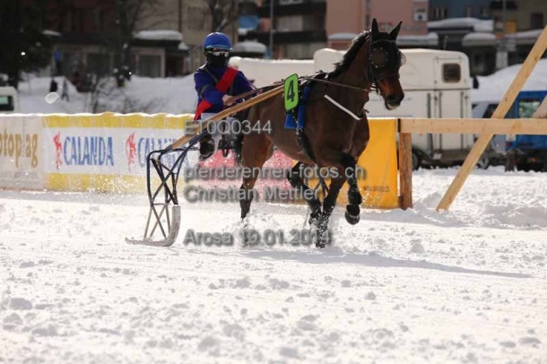 ET0Q0344 prot